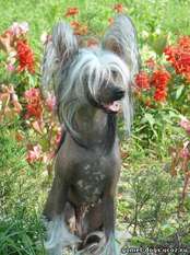 Melanies Rerity Demetra Melanies Rerity Demetra