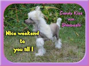 Candy Kiss Von Shinbashi Candy Kiss Von Shinbashi