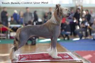 Touch Beauty Control Your Mind Touch Beauty Control Your Mind