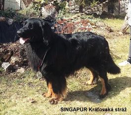 Singapur Kralovska straz Singapur Kralovska straz