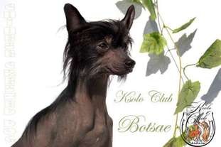 Ksolo Club Botsae Ksolo Club Botsae