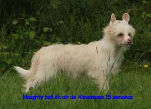 Naughty Ball Oh Air De Almamasan Naughty Ball Oh Air De Almamasan