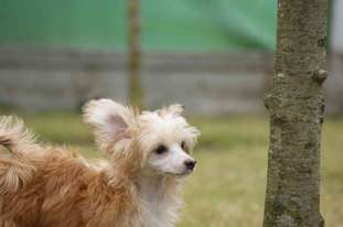 Brauny- Jane Von Taja Brauny- Jane Von Taja