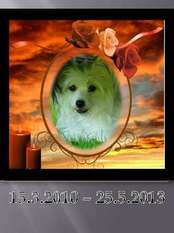 B' Mystic-sharm Ar Arenis Marri B' Mystic-sharm Ar Arenis Marri