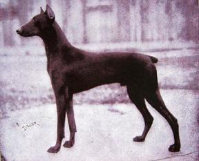 Prinz von Brunia Prinz von Brunia