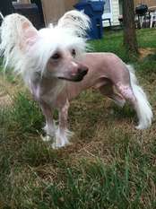 Hi-life Sirius Andros Look Again Hi-life Sirius Andros Look Again