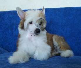 Bouncy Bundle Labas Rytas Bouncy Bundle Labas Rytas