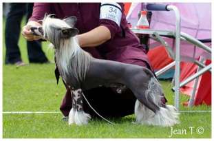 Proud Pony You May Look Proud Pony You May Look