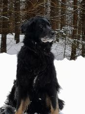 Cara Wächter der Zukunft Cara Wächter der Zukunft