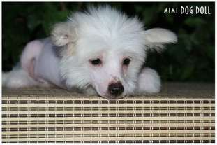 Mimi Dog Doll Tarantino Mimi Dog Doll Tarantino