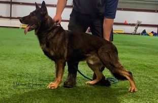 Hutch vom Eisernen Kreuz Hutch vom Eisernen Kreuz