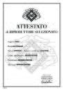 Attestato_728-RiproduttoreSelezionato.pdf