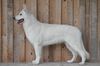Isskia of White Finess