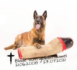 Blade vom gelben Juwel Blade vom gelben Juwel
