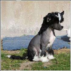 Frenja Black Just Black Frenja Black Just Black