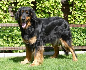 Charlotte Aldeon Charlotte Aldeon
