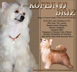 Kofejnyj Briz Kofejnyj Briz
