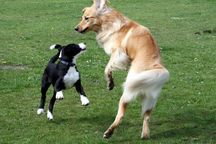 Bild von Jule vom Julienhof