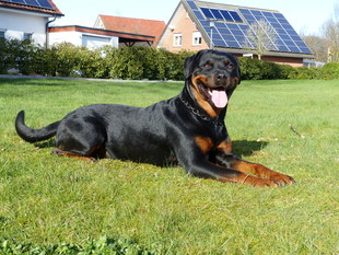 Tessa von der Reuthwiese Tessa von der Reuthwiese
