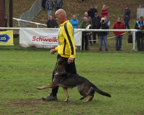 Dörthe vom Hause Schöntag Dörthe vom Hause Schöntag