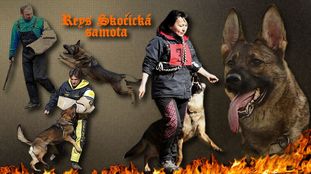 Reys Skocicka Samota Reys Skocicka Samota