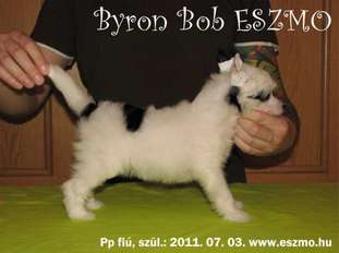Byron Bob Eszmo Byron Bob Eszmo