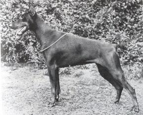 Siska von Nassau-Oranien Siska von Nassau-Oranien
