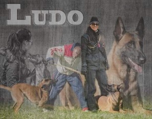 Ludo de la Vallée de Luvry Ludo de la Vallée de Luvry