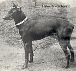 Helmuth Frauenlob von Haiterbach Helmuth Frauenlob von Haiterbach