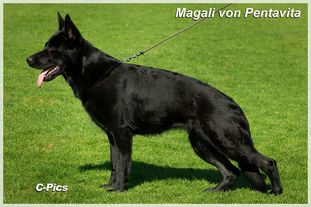 Magali von Pentavita Magali von Pentavita