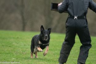 Jiro van de Biezenhoeve Jiro van de Biezenhoeve