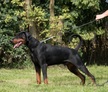 Henry und Simone Wagner