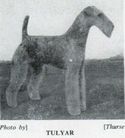 Tycroit Tulyar