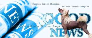 Edcullen's Glade Boston Legal Edcullen's Glade Boston Legal