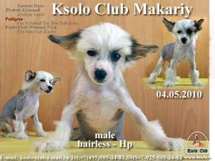 Ksolo Club Makariy Ksolo Club Makariy