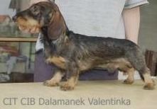 Dalamánek Valentinka Dalamánek Valentinka