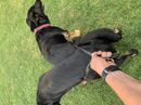 F3356004-4347-4403-82E6-6DDF8E736477.jpeg
