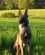 Enya von Bradenton Enya von Bradenton