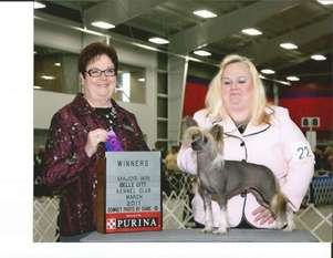 Gch Jl's Pawprints Into Twilight Gch Jl's Pawprints Into Twilight