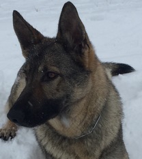Nikita von der Gletscherhöhle Nikita von der Gletscherhöhle
