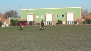 Great des Lycans d'Arget Great des Lycans d'Arget