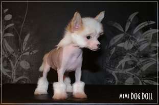Mimi Dog Doll Zz Top Mimi Dog Doll Zz Top