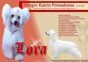 Olegro Katrin Primadonna Olegro Katrin Primadonna