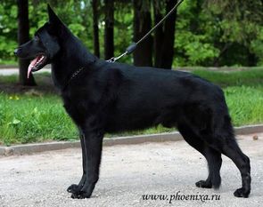 LIDER s MESHERSKOGO OZERA LIDER s MESHERSKOGO OZERA