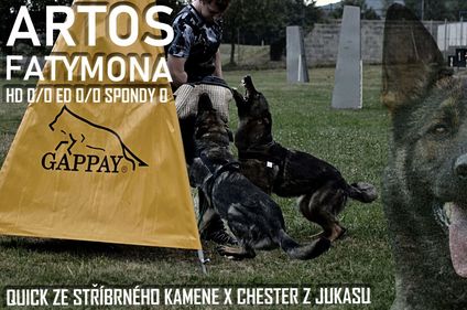Artos Fatymona Artos Fatymona