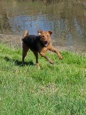 Gwen von Erikson Gwen von Erikson