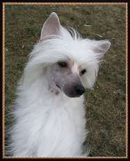 Altair Xanthos Altair Xanthos