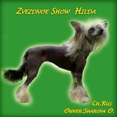 Zvezdnoe Show Hilda Zvezdnoe Show Hilda