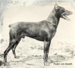 Fedor von Aprath (deutz) Fedor von Aprath (deutz)