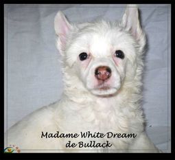 Madame White Dream De Bullack Madame White Dream De Bullack